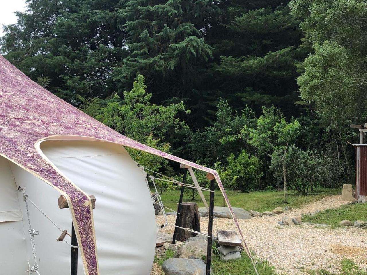 מלון טקאקה Golden Bay Glamping מראה חיצוני תמונה